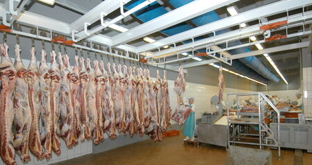 Дезинсекция на мясокомбинате в Лыткарино, цены на услуги