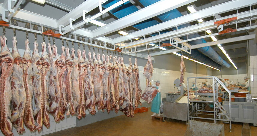 Дезинсекция на мясокомбинате в Лыткарино, цены на услуги